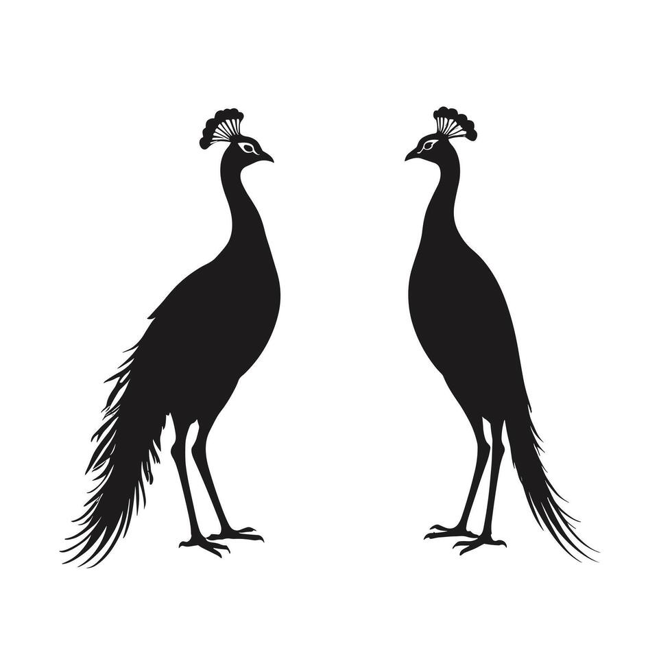 Two black silhouettes of peacocks standing side by side vector