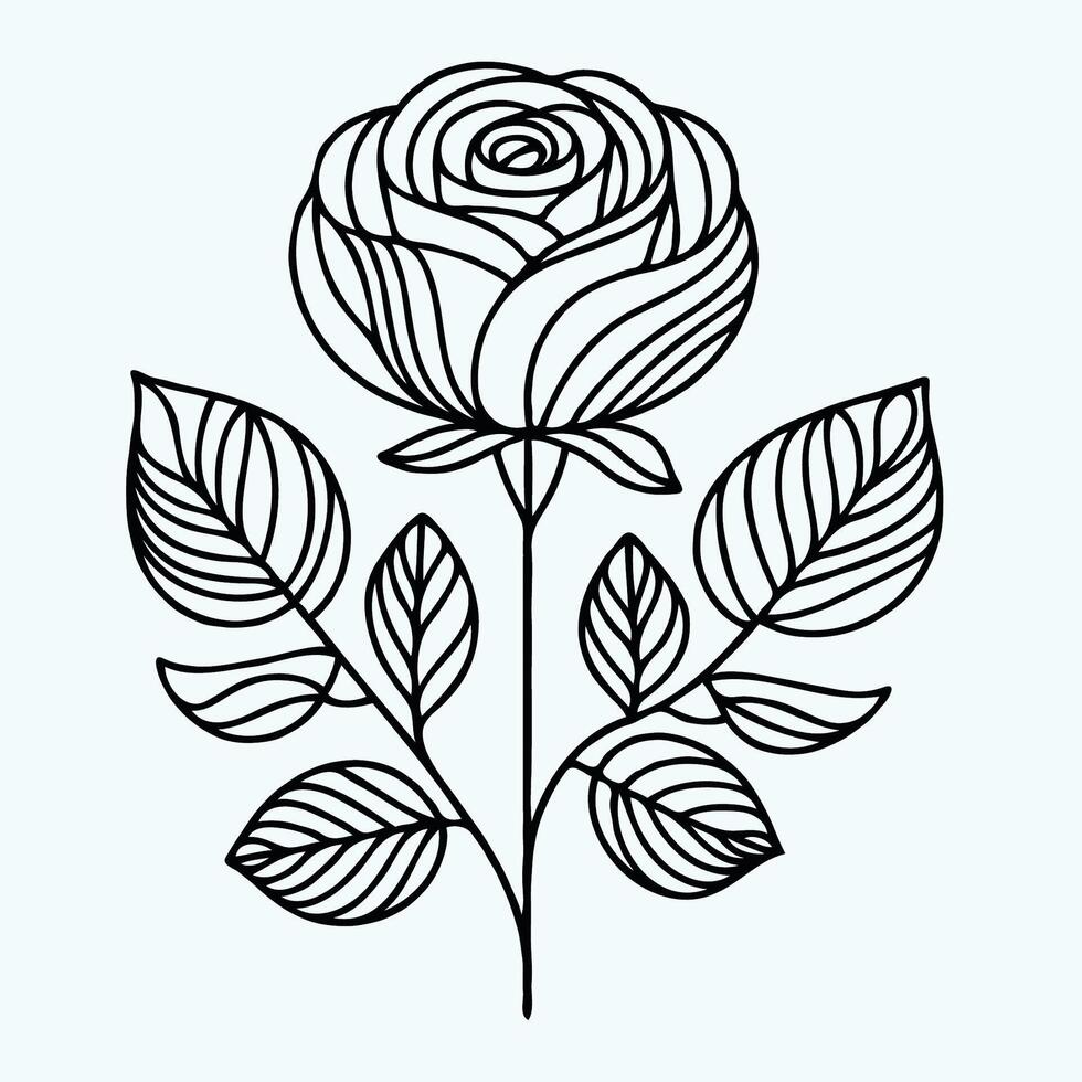 A rose is drawn in a line drawing vector