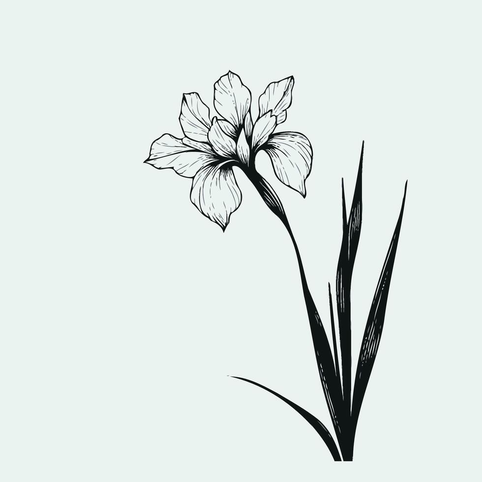 Wreath of Flowers, wild flowers Simple Line Art, Set of Decorative Elements of Plants vector