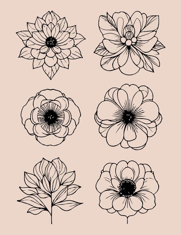 Set of flowers in black and white detailed vector