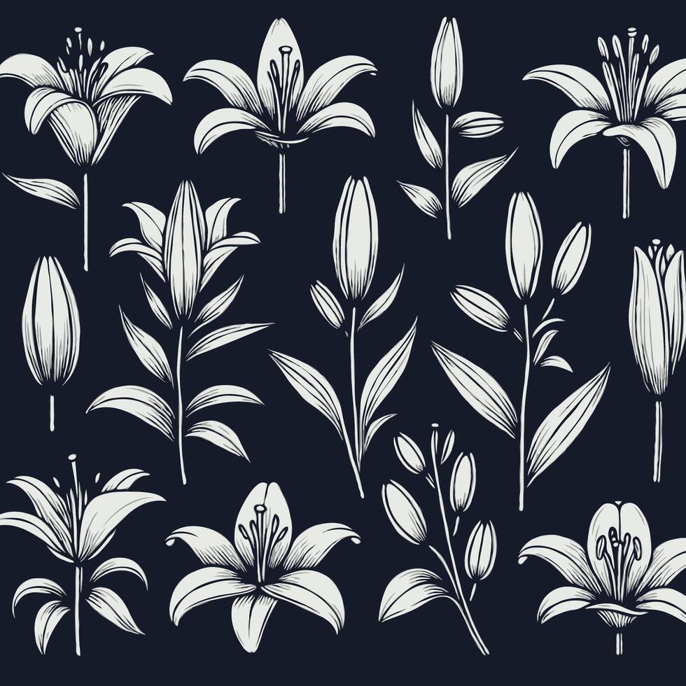 Lily flowers in black and white on a black background vector