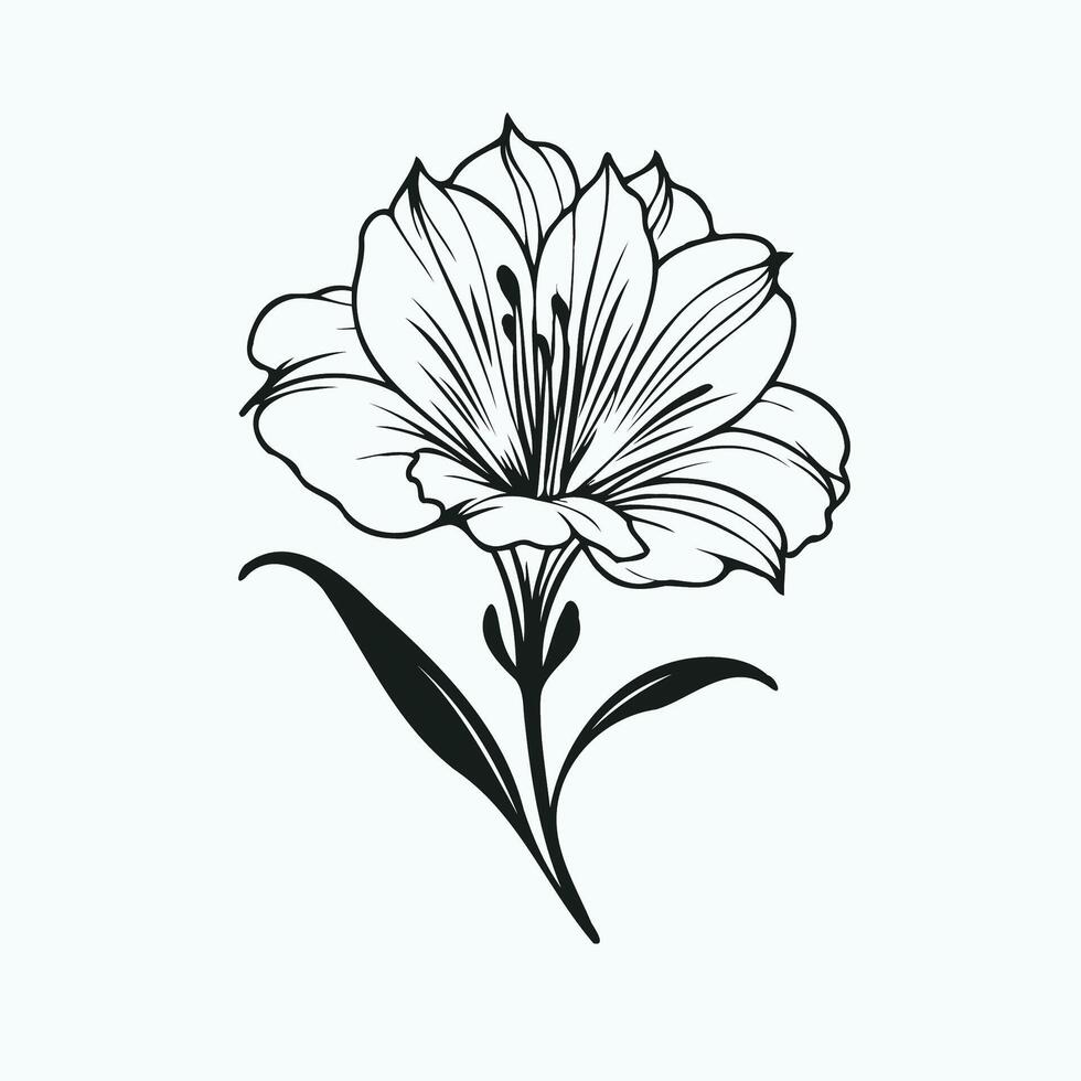 A black and white drawing of a flower, sketch flowers. Line Art of Flowers, Leaves vector