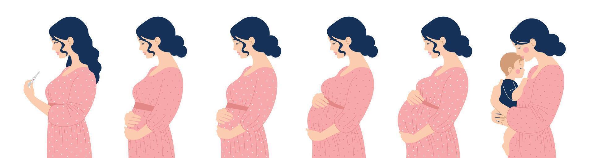 Set of women, path from pregnancy test through different stages to motherhood. Mom with baby. Isolated flat illustration of people vector