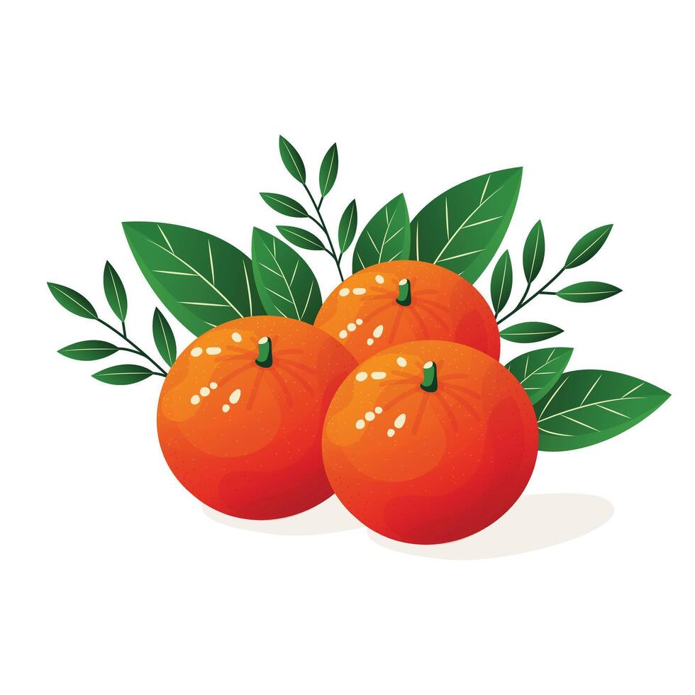 tangerine with leaves flat illustration isolated on white background vector