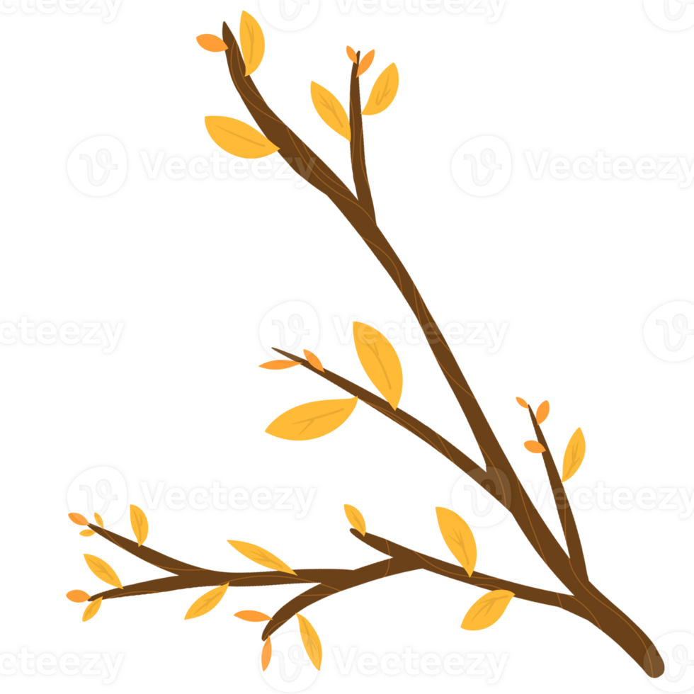 Leaf and branch illustration png