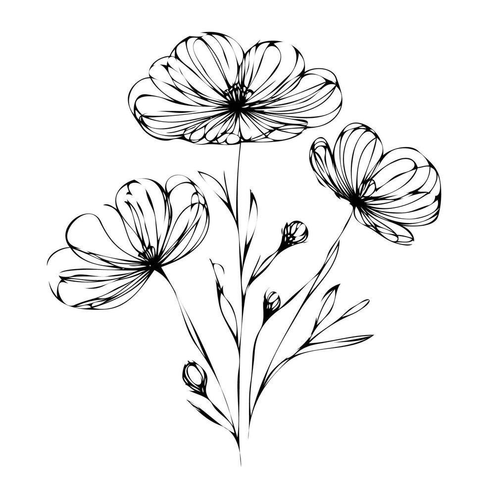 Cosmos flowers black and white sketch illustration, Simple Line Art vector