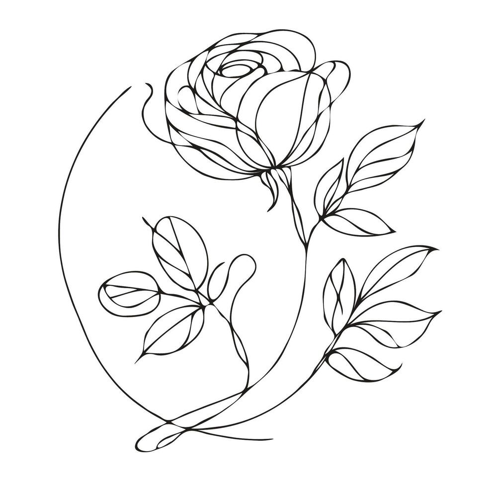 A drawing of a rose with leaves vector