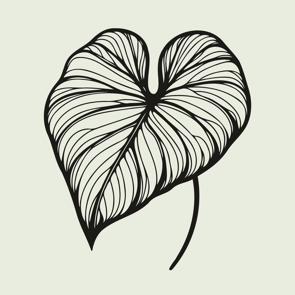 illustration of a leaf with a heart shape vector