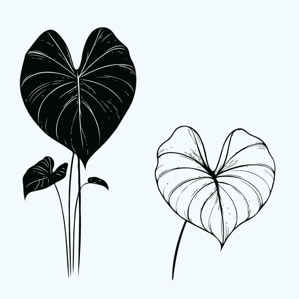 illustration of a leaf and a heart shape vector