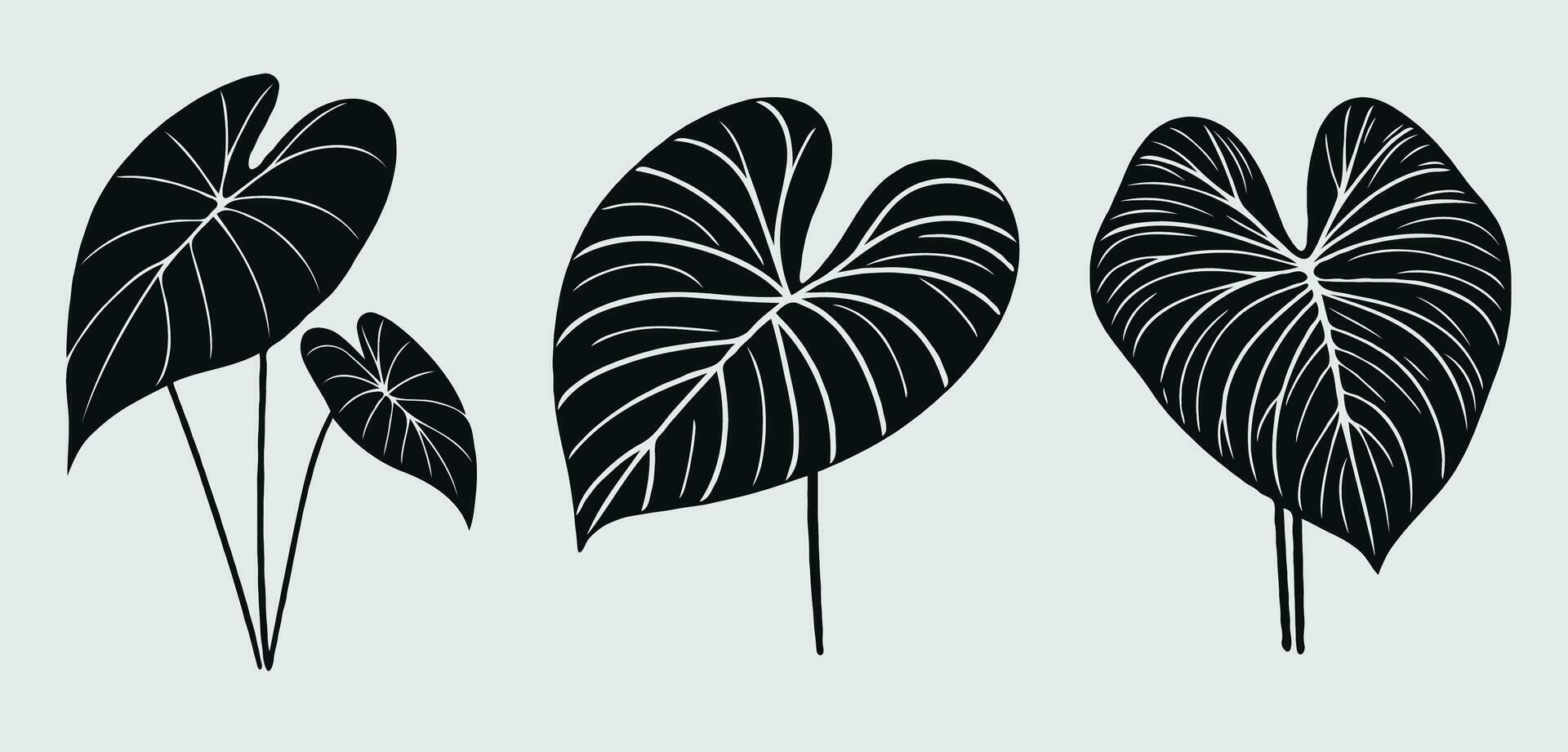 illustration of black and white leaves vector