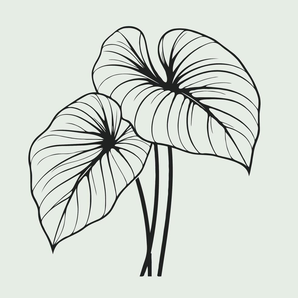 illustration of a plant with leaves vector