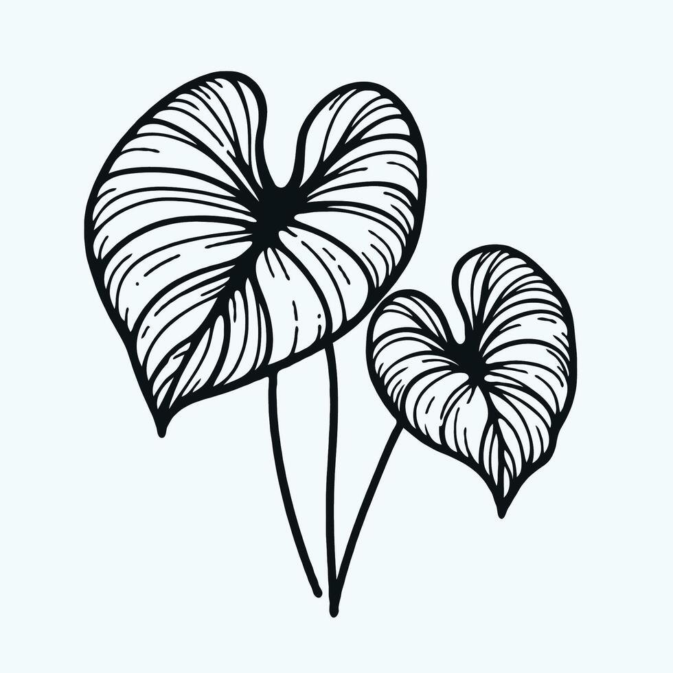 illustration of a hand drawn plant with leaves vector