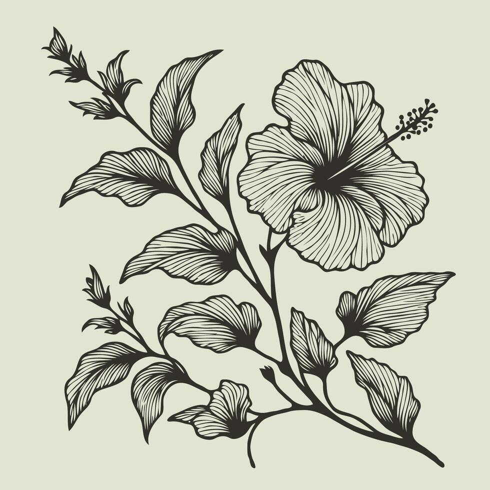 illustration of hibiscus flower with leaves and leaves vector