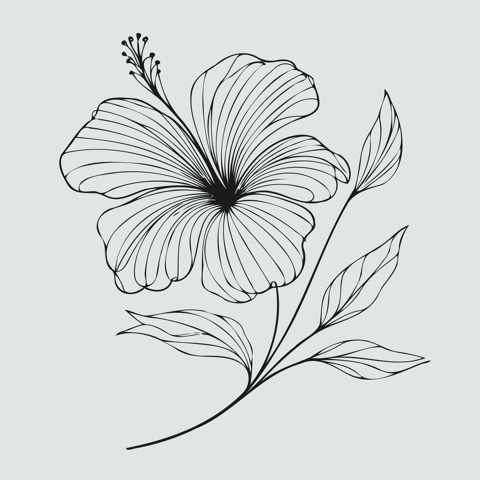A black and white drawing of a hibiscus flower vector