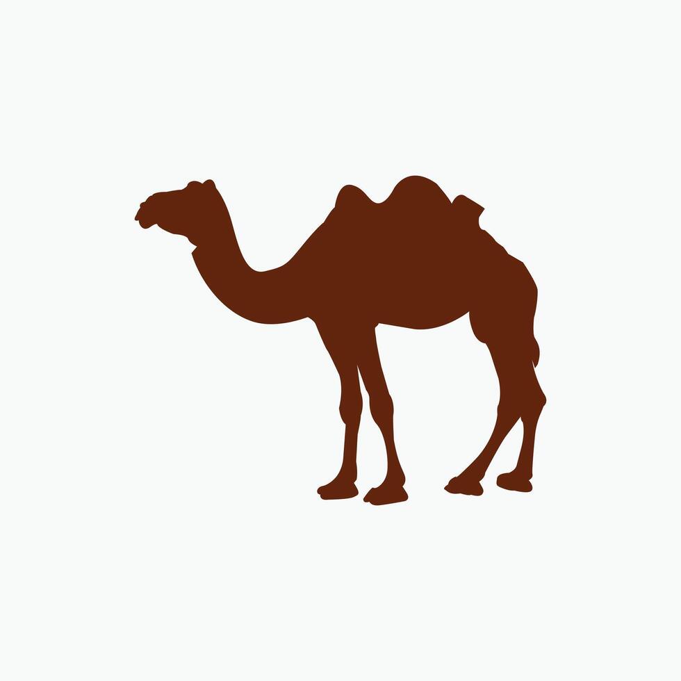 Camels, Camel, Camel art vector