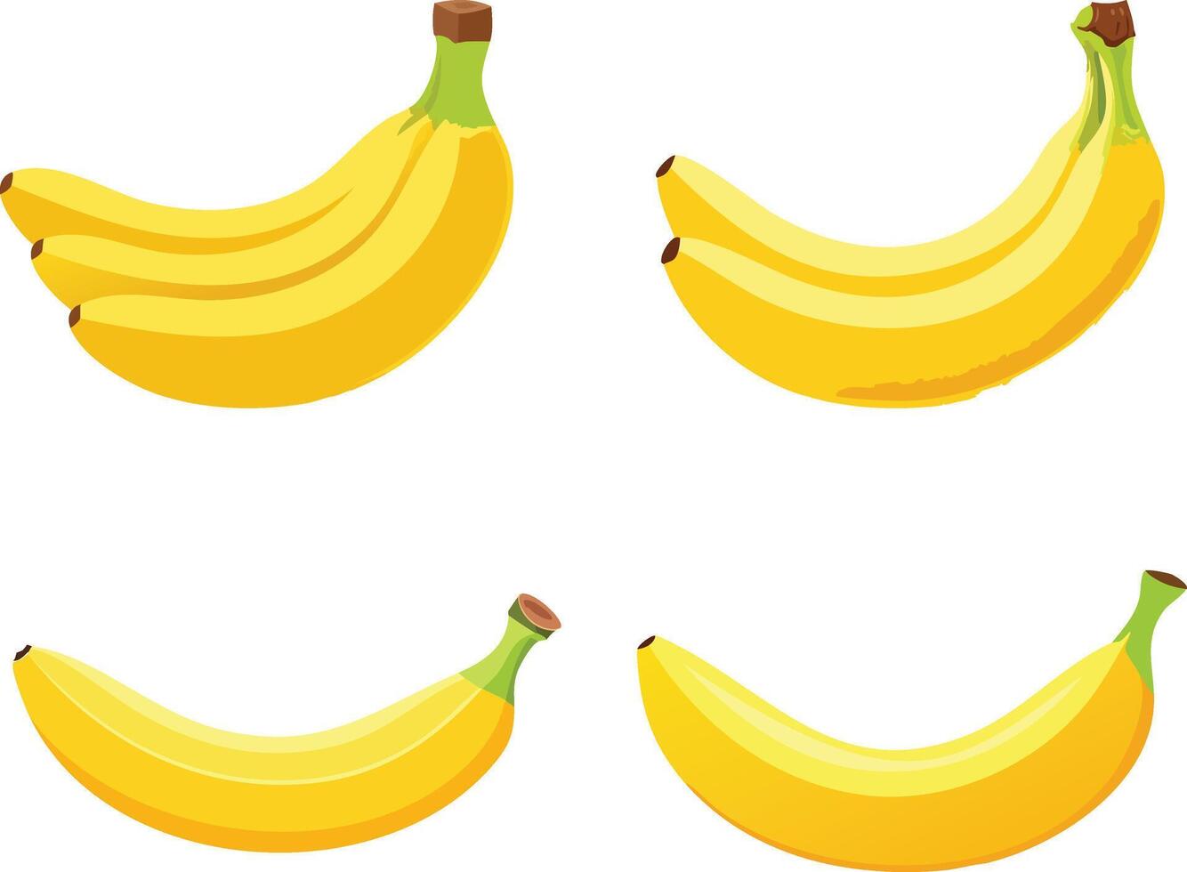 Illustration of Bananas vector