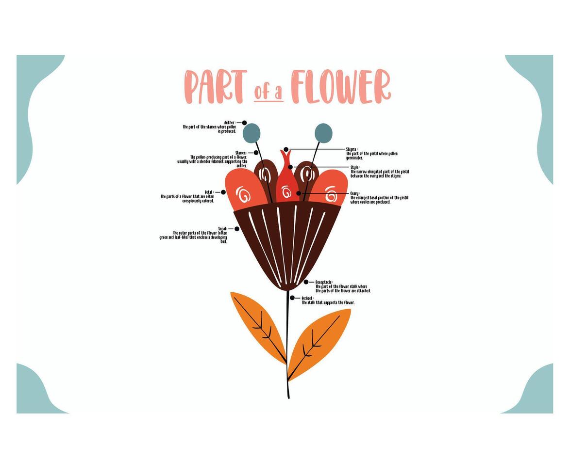 Part of Flowers Infographic Illustration vector