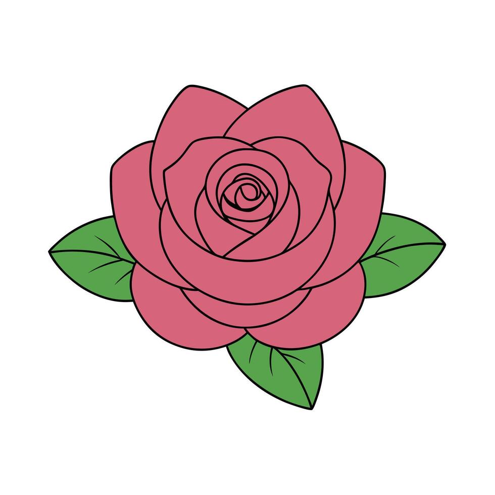 Detailed Rose Illustrations for All Occasions vector