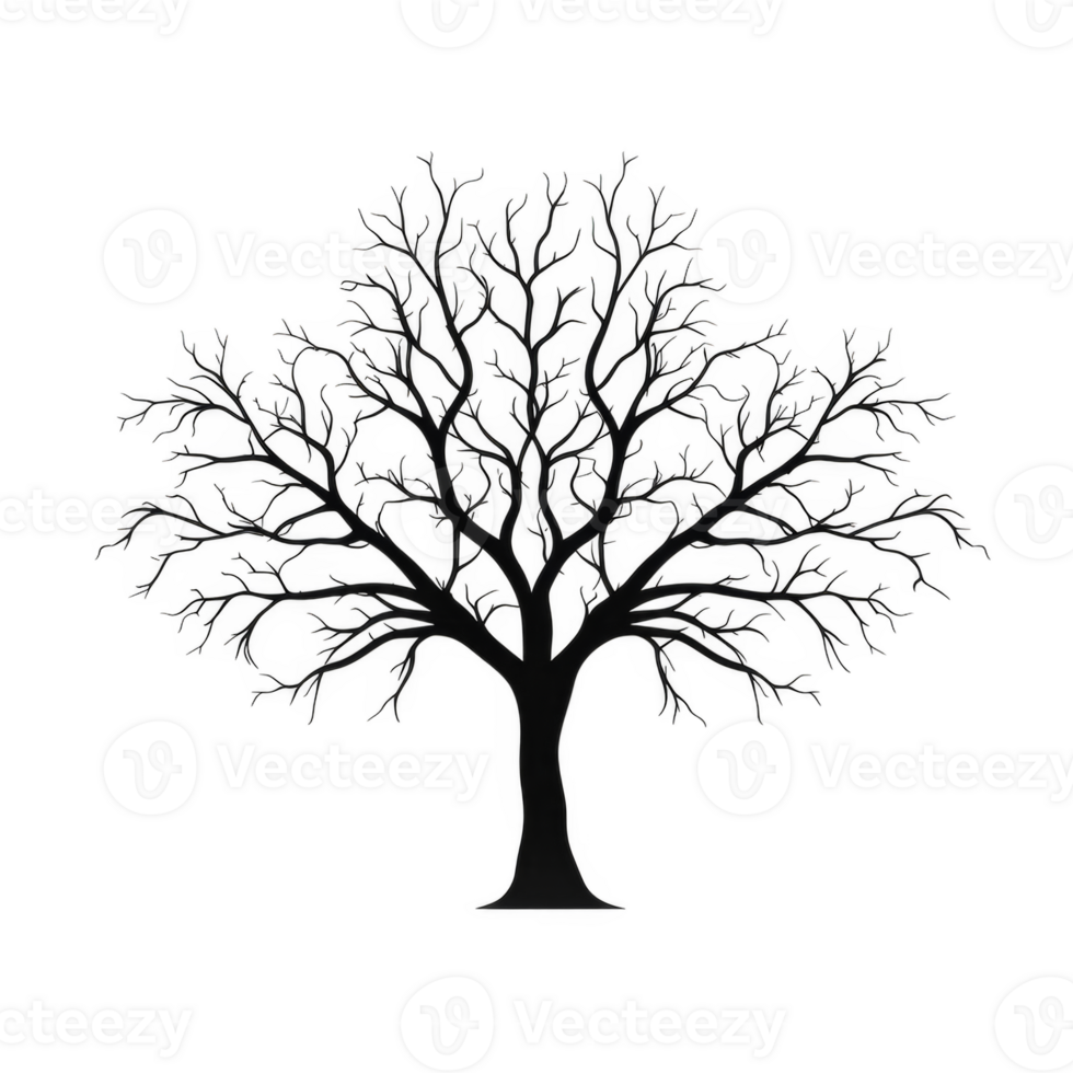 Abstract Artistic Representation Of A Winter Tree png