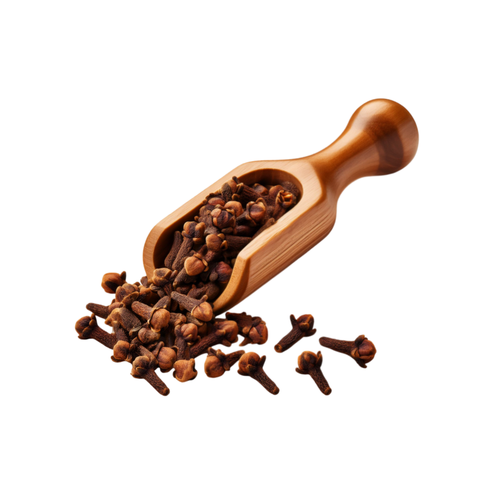 Wooden spoon of clove spice on transparent background png