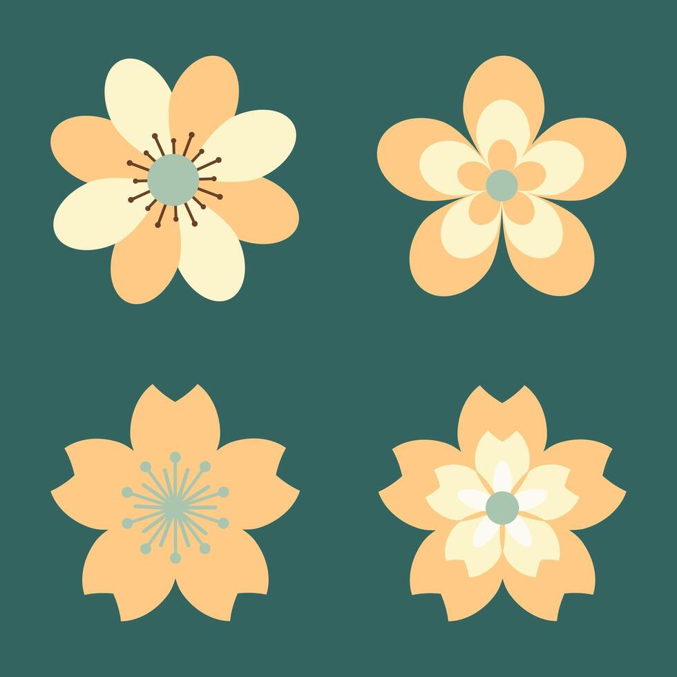 Beautiful Yellow Orange Flower Collection vector
