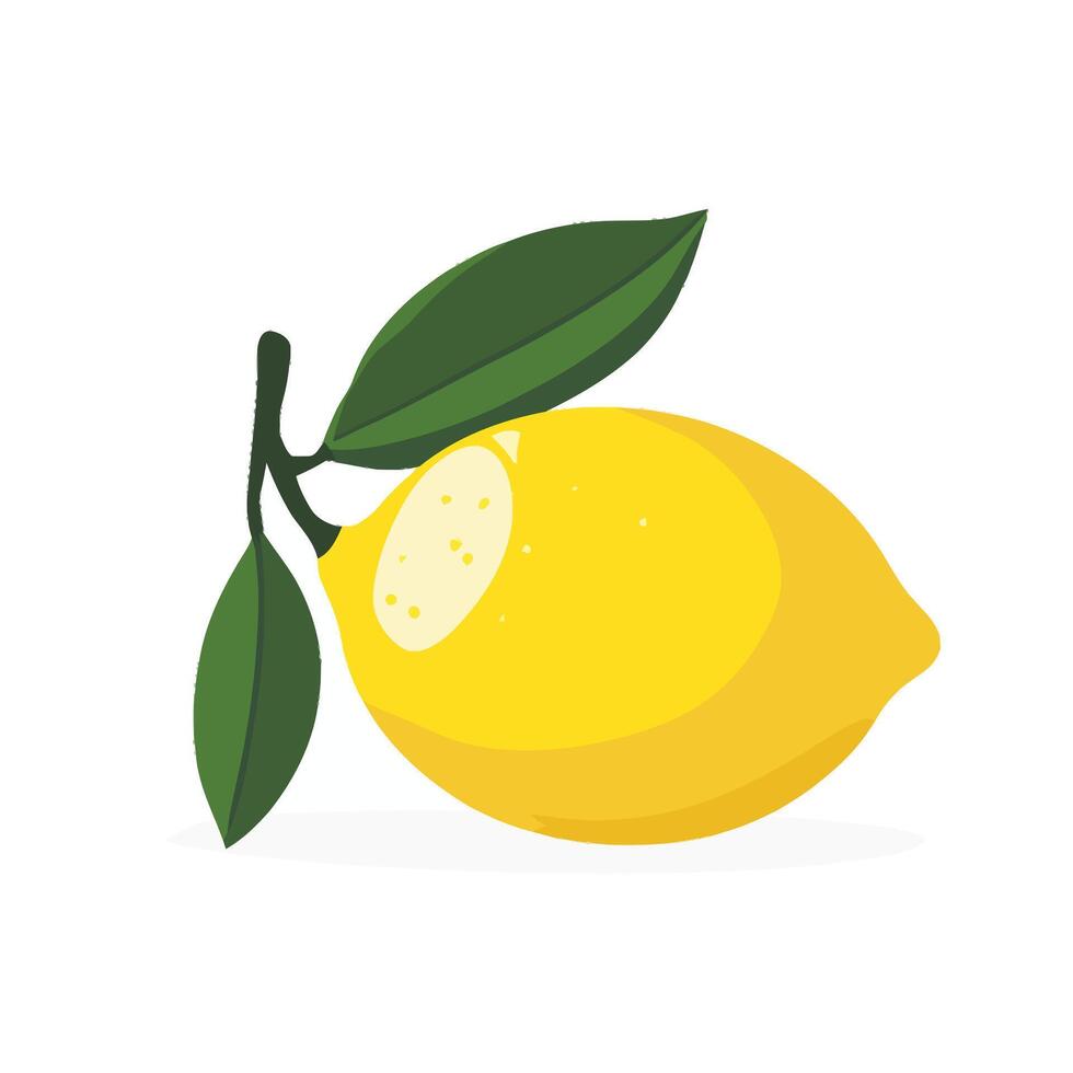 Freshly Picked Lemon with Natural Hanging Leaves vector