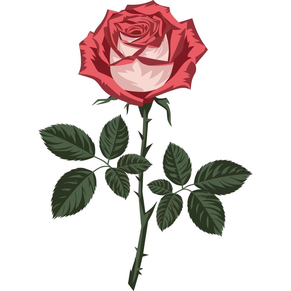 A red rose with leaves on a white background vector