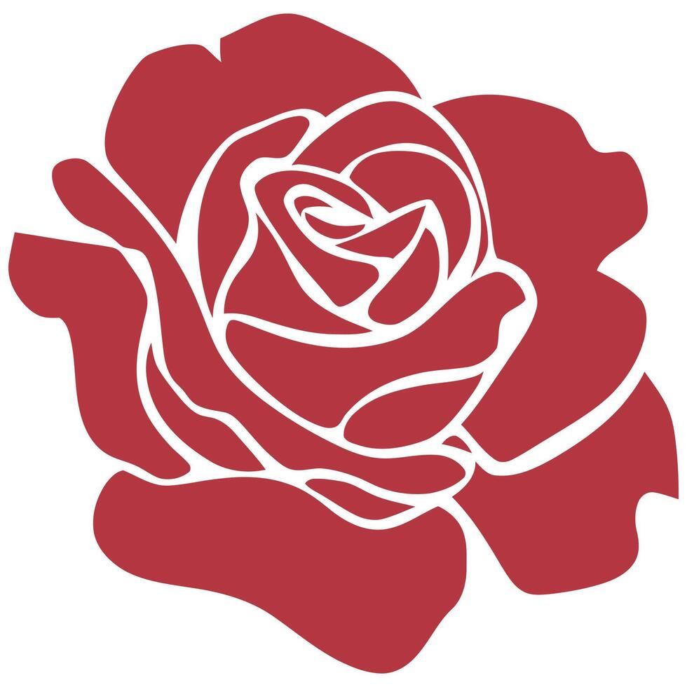 A red rose is shown in a white background vector