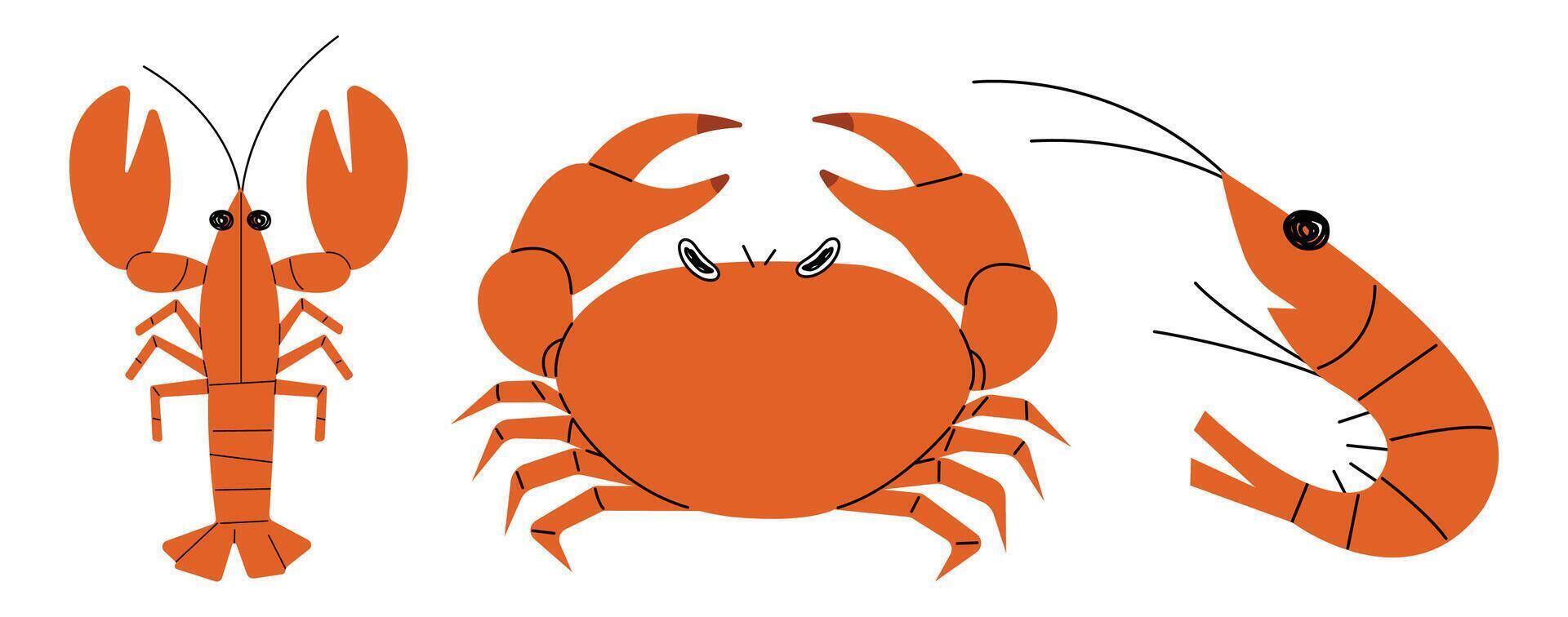 Lobster, Crab and Shrimp cute on a White background, illustration. vector