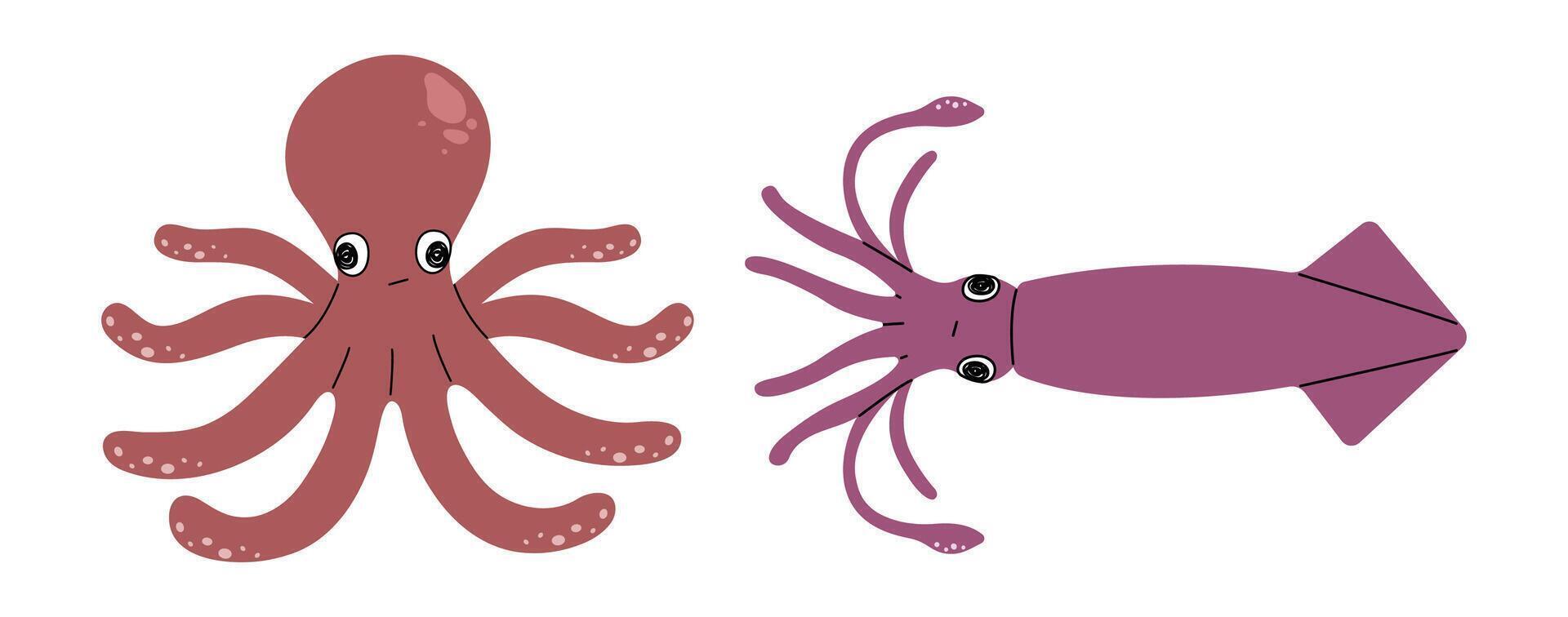 Octopus and Squid cute on a White background, illustration. vector