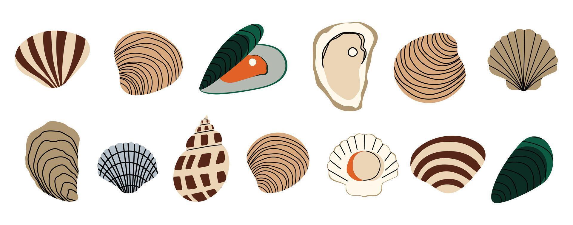 Shellfish cute on a White background, illustration. vector