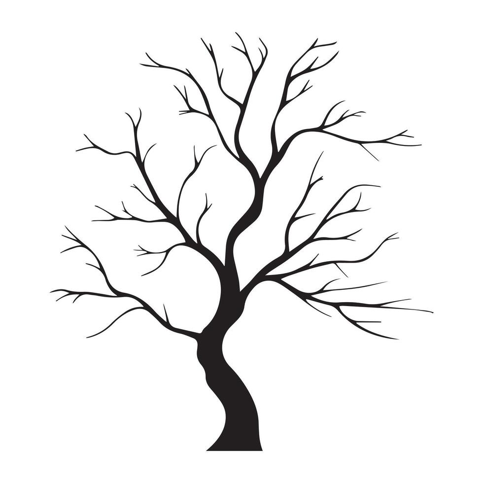 Bare tree silhouette design with a white background vector