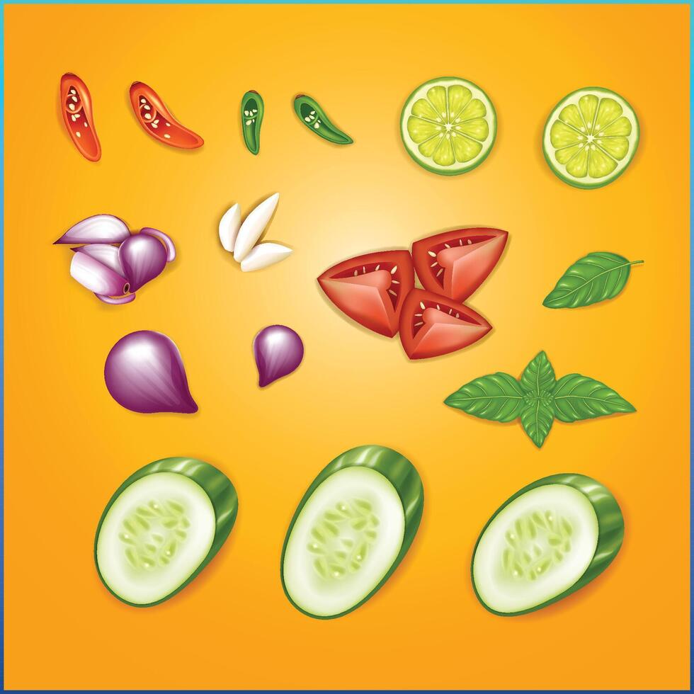 A realistic set of spices vector