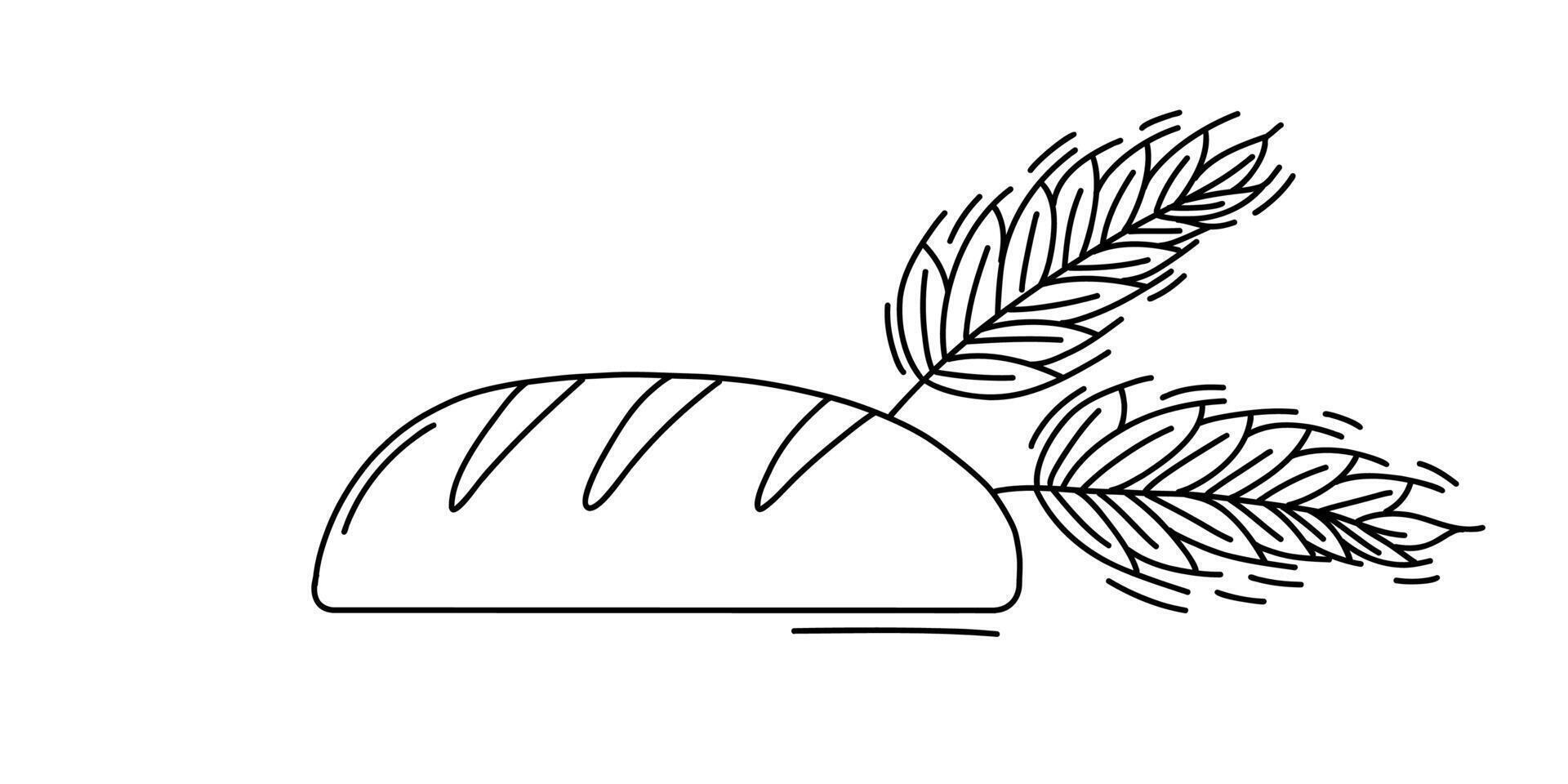 Doodle of Bread and wheat ears illustration vector