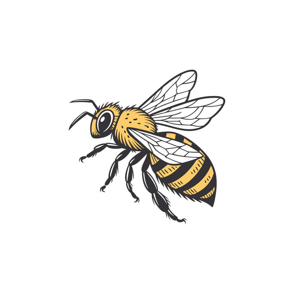 A bee logo with a yellow and black body vector