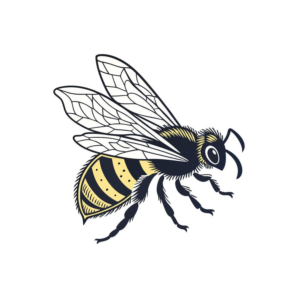 A bee with yellow and black wings vector