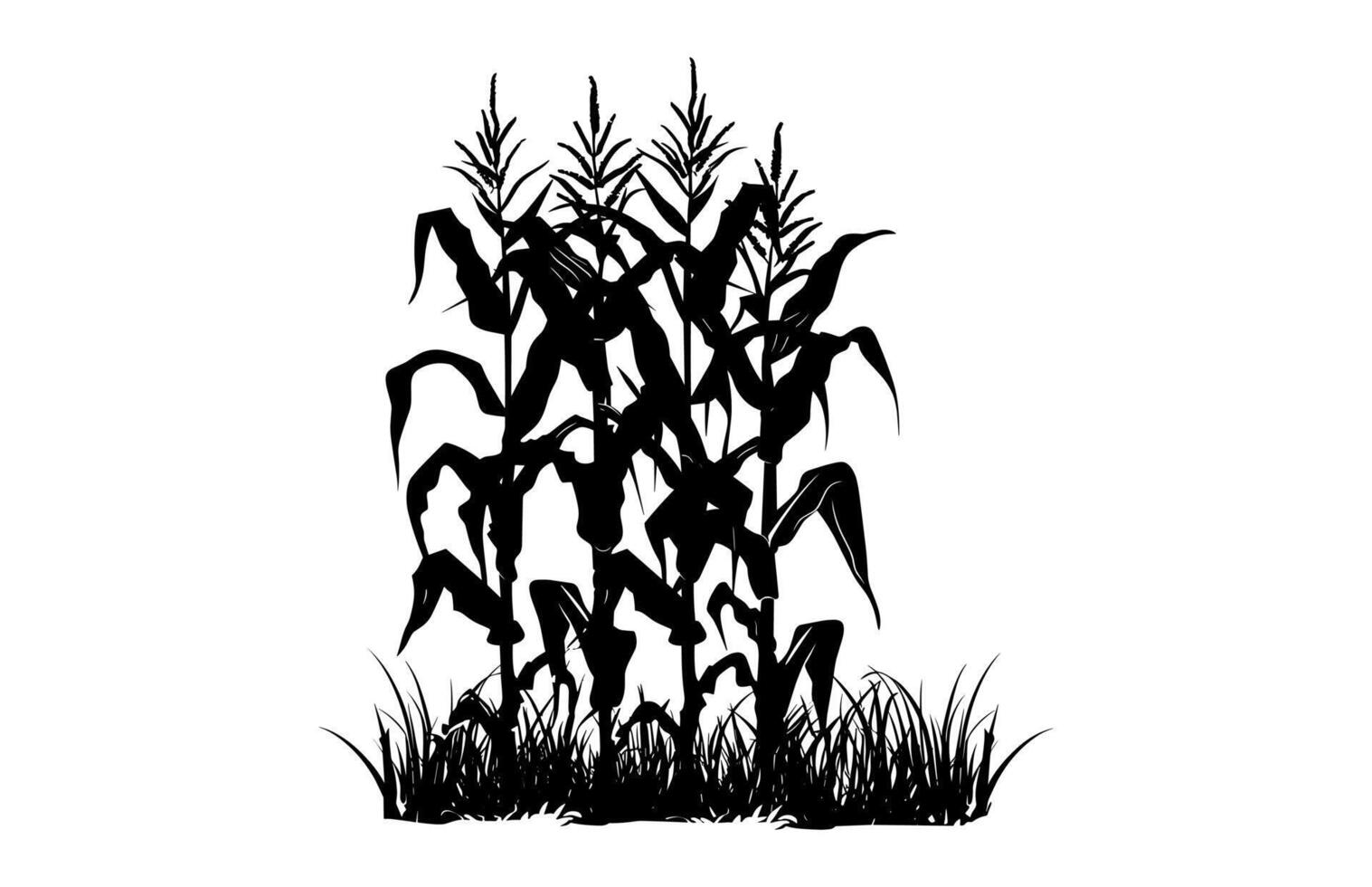 Corn Stalk Silhouette isolated on a white background vector