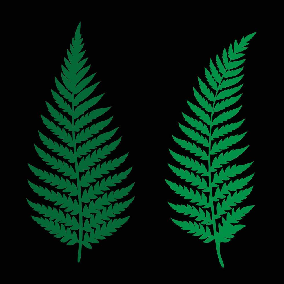 Detailed Green Fern Leaf Illustration on Black Background for Nature Designs vector