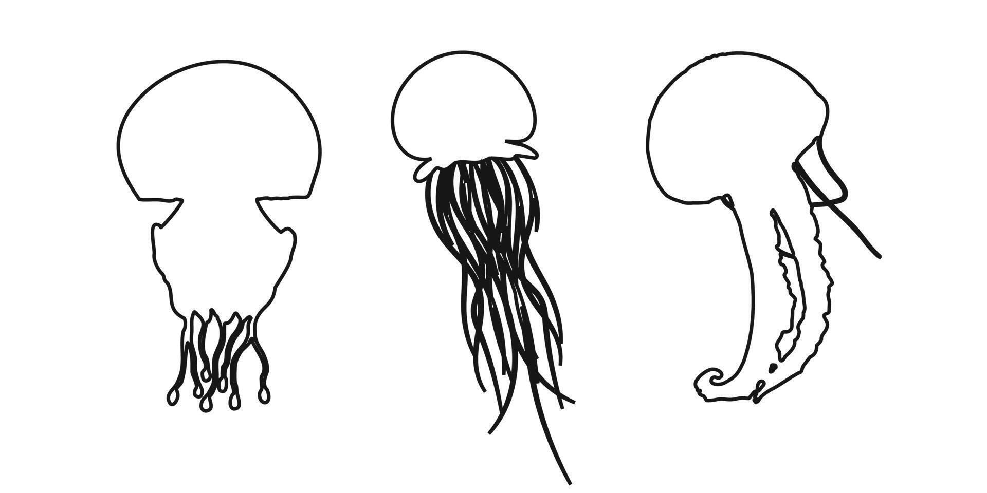 Set of black outline jellyfish icons also known as medusa or sea jelly on a white background. Clipart illustration abstract design concept. vector