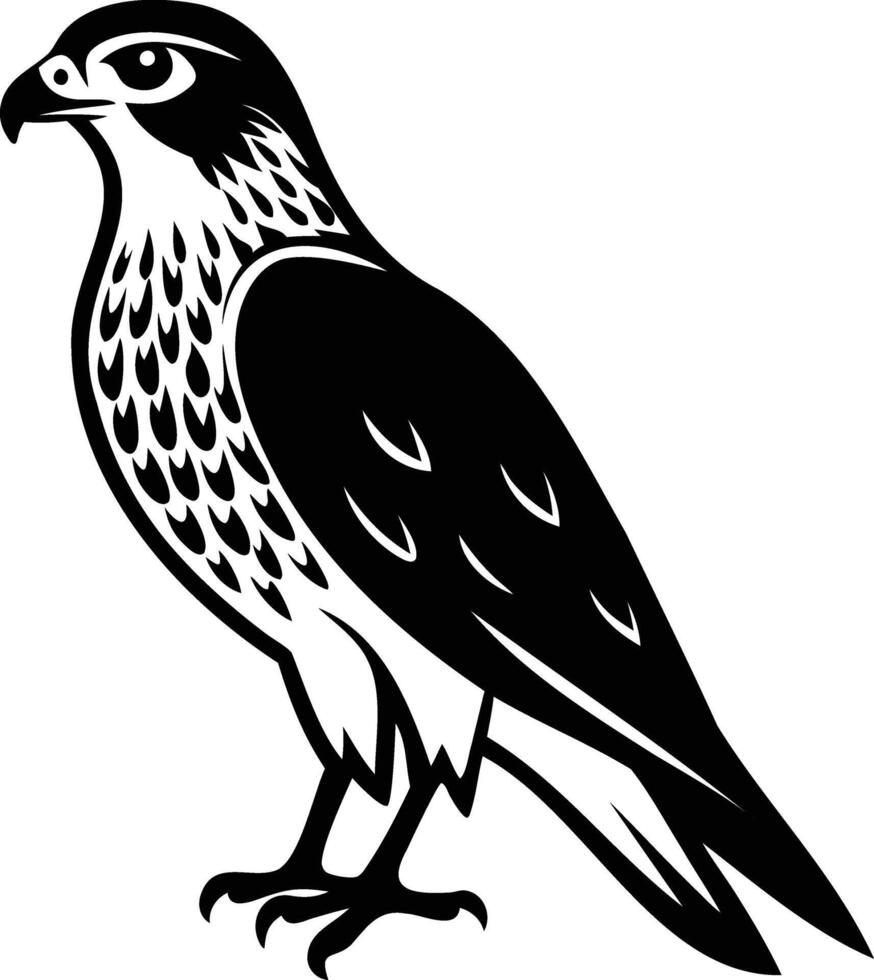 Hawk Silhouette Powerful and Graceful Designs vector
