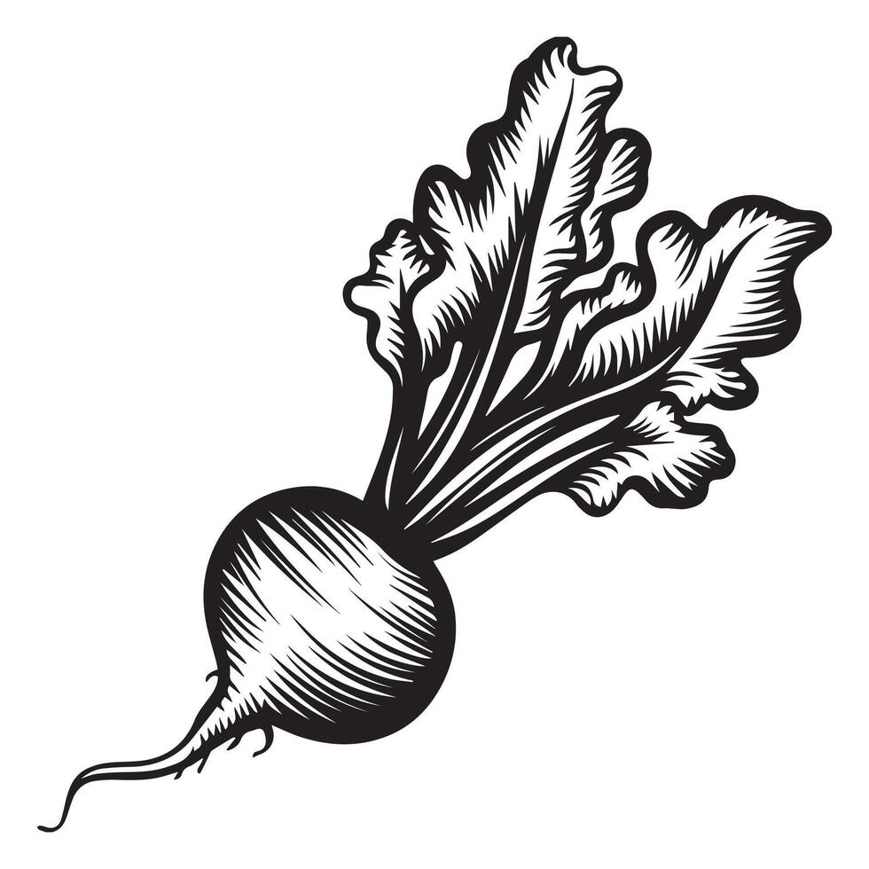 Unique Textured Beetroot Icon Set vector
