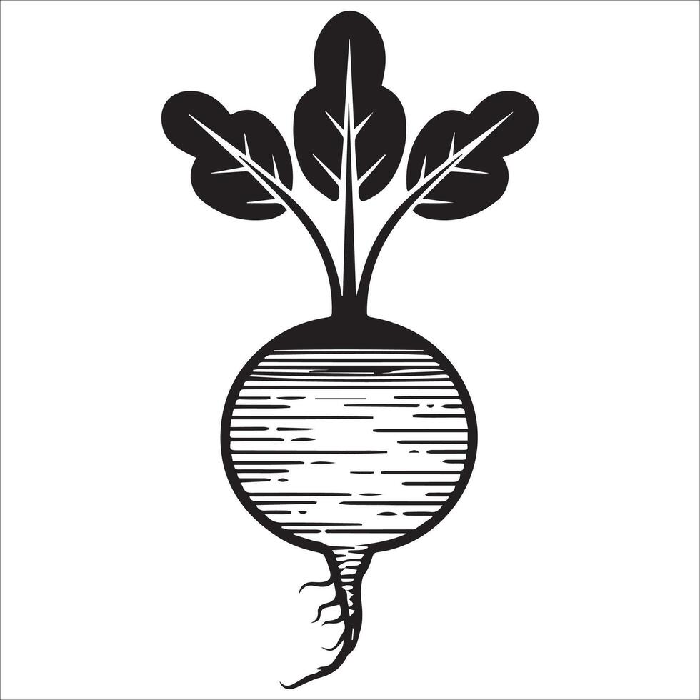 Textured Beetroot Icon vector