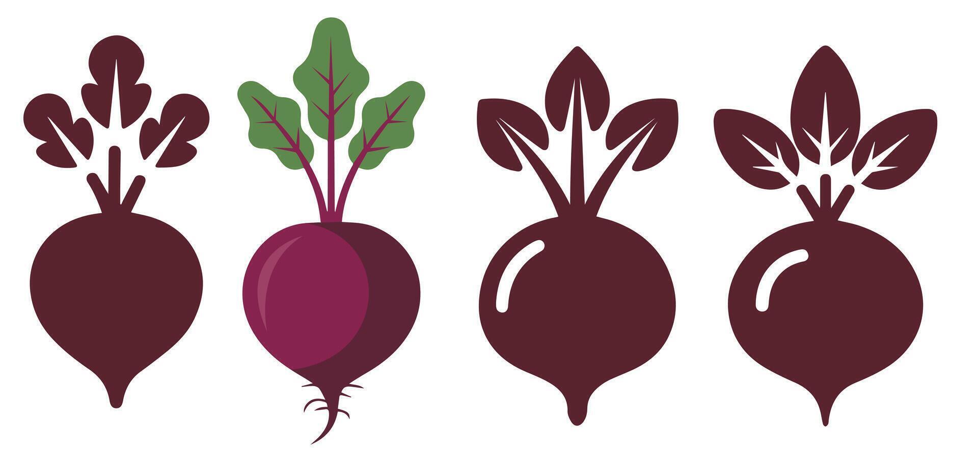 Simple Beetroot Icon Set vector