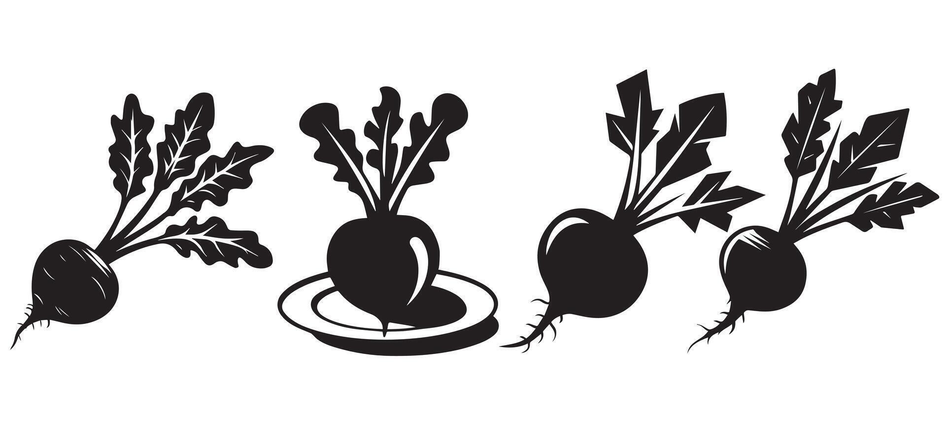 Stylized Beetroot Icon Set vector