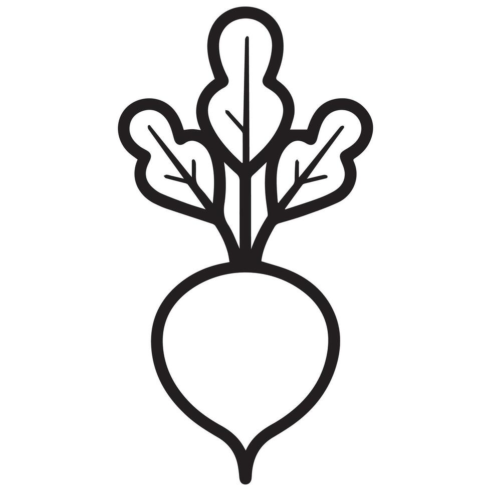 Smooth Beetroot Icon Collection vector
