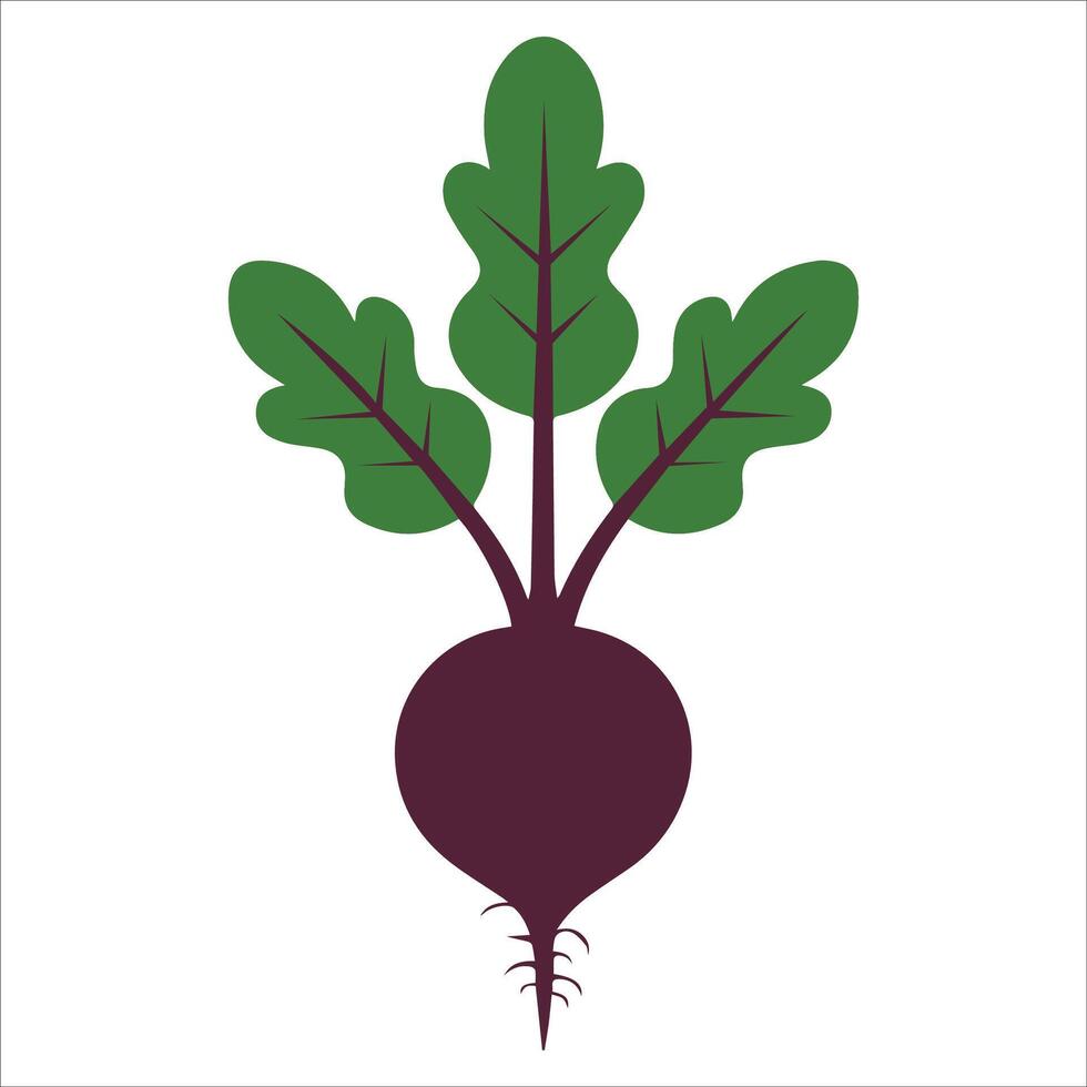 Simple Beetroot Icon Design vector