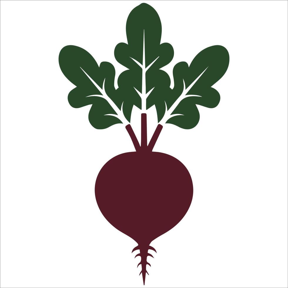 Flat Beetroot Icon Collection vector