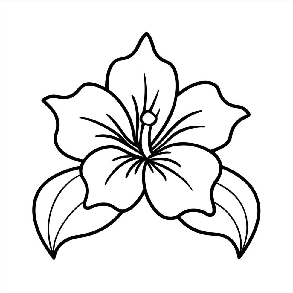isolated single pretty alcatraz flower blossom colorless black and white contour line drawing vector