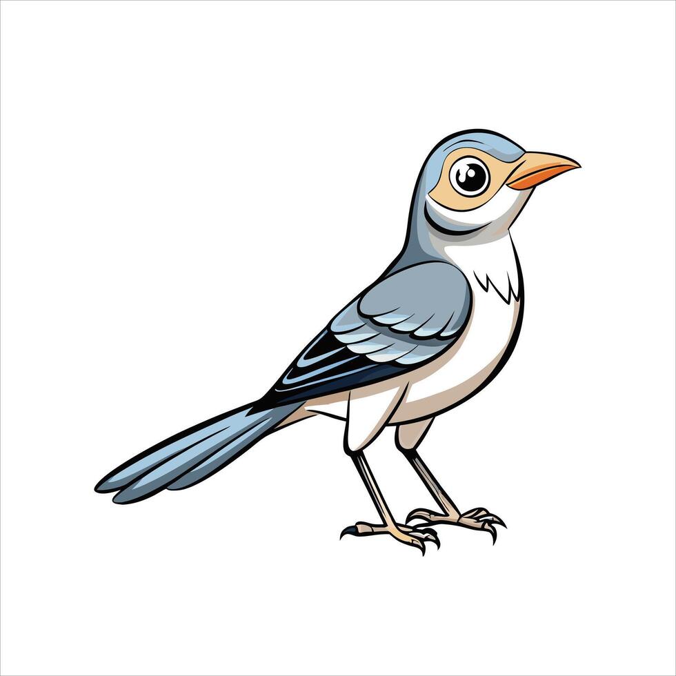 Northern Mockingbird cartoon with a white background vector