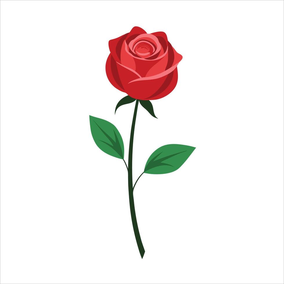 A single rose in a minimalist style with a white background vector